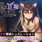 君の首輪を外す日【ヒヒイロカネ密売所】