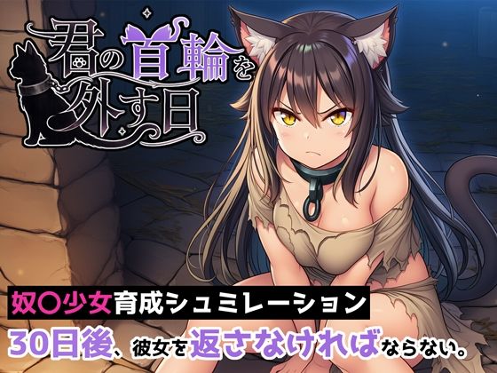君の首輪を外す日【ヒヒイロカネ密売所】